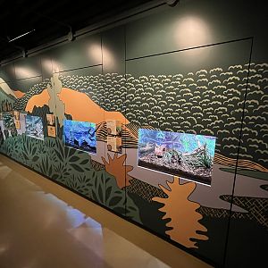 Bug World - New 2023 Graphics