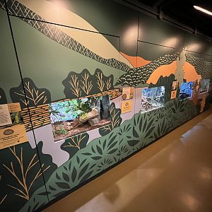 Bug World - New 2023 Graphics