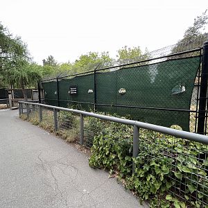 Maned Wolf Exhibit - empty
