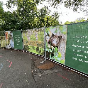 “Forests” Construction Zone