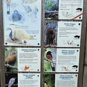 Banyan Wilds Aviary - 6 species