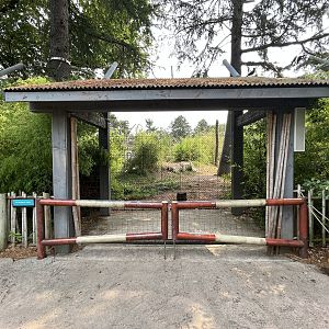 Malayan Tiger Exhibit