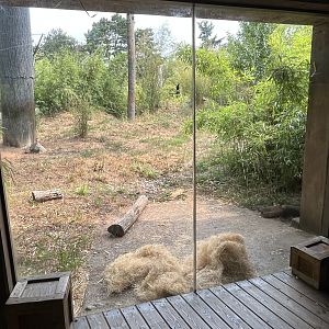 Malayan Tiger Exhibit