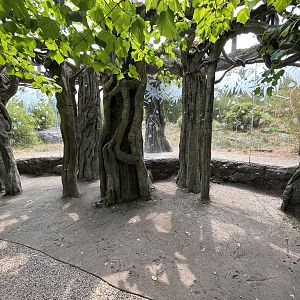 Malayan Tiger Exhibit