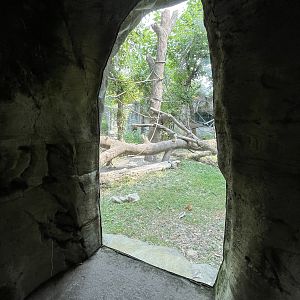 Orangutan Exhibit #1