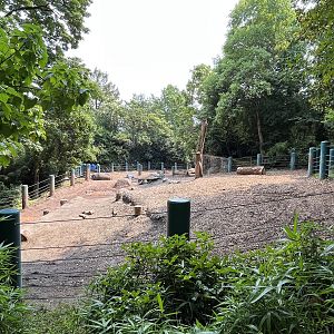 Indian Rhino Exhibit