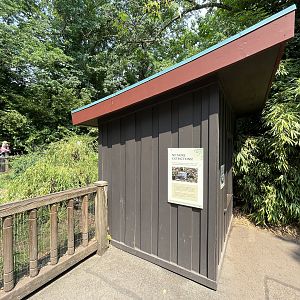 Asian Brown Tortoise Exhibit