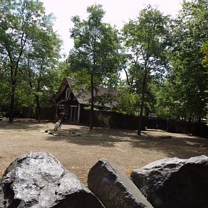 Africa- Mhorr Gazelle enclosure 13.7.23