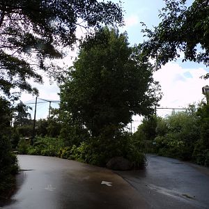 Africa- General view 13.7.23