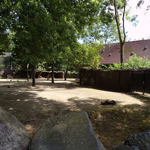 Africa- Mhorr gazelle enclosure 13.7.23