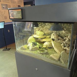 Chuckwalla Tank