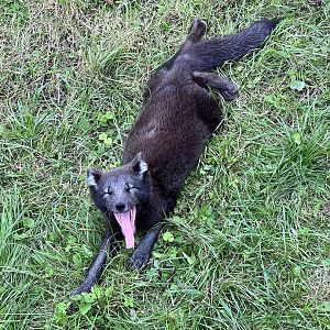 I know the feeling mate!