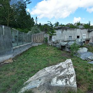 Female cheetah enclosure