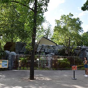 New Australia building : outside enclosures for Goodfellow's tree-kangaroo