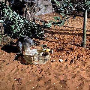 Night area of the new Australian building