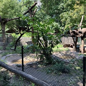 Racoon and skunk enclosure