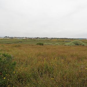 View from the Center