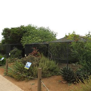 Raptor Aviaries
