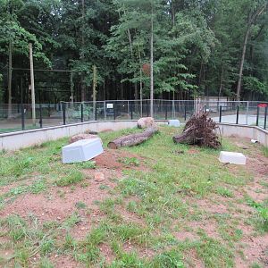 Prairie Dog Exhibit (New in 2023)