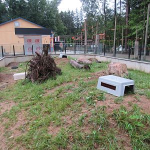 Prairie Dog Exhibit (New in 2023)