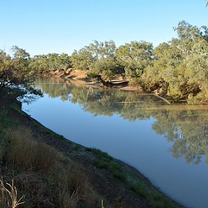 Coopers creek 2