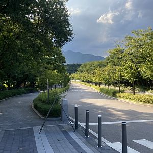 Path to the entrance