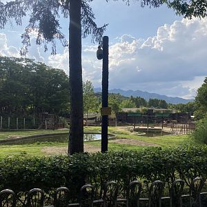 Part of elephant paddock