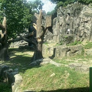 Small part of bear exhibit
