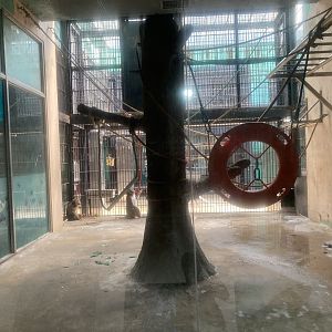 Macaque indoor enclosure example