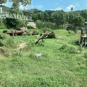 Part of Lion exhibit