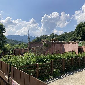 Upcoming primate area (small section)