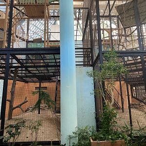 South American Pavilion cages