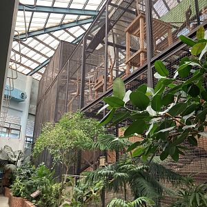 South American Pavilion cages