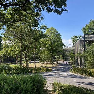 Overview of (excellent) raptor area