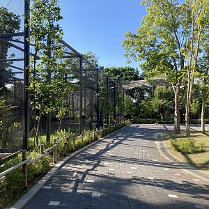 Raptor area general view