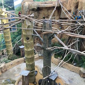 Large mixed aviary in Tropical bird pavilion