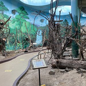 Lorikeet walkthrough