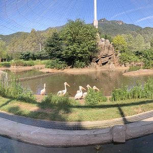 Large waterfowl aviary (pano)