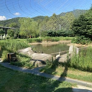 Large waterfowl aviary