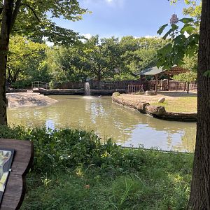 Common hippo pool and first paddock