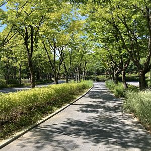 Typical path example