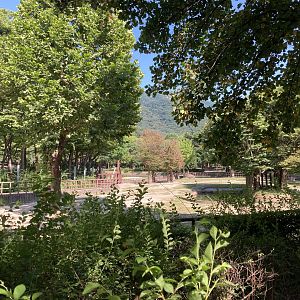 Small part of White rhino enclosure