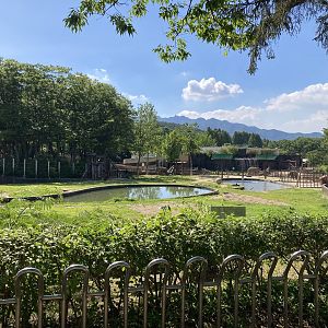Elephant exhibit with forest enclosure