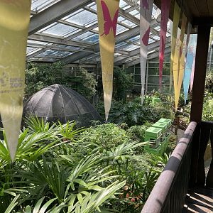 Insectarium butterfly and frog area