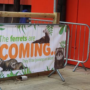 New Ferret exhibit banner in the Farmyard area- 7th August 2023