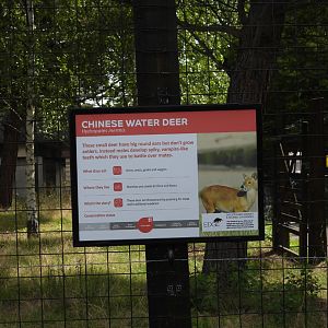 Chinese Water Deer Signage- 7th August 2023