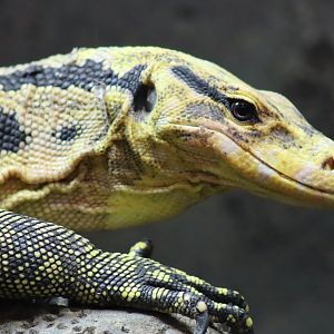 Mindanao Water Monitor
