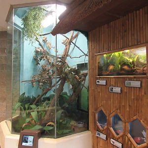 Learning Center - Tree Shrew Exhibit