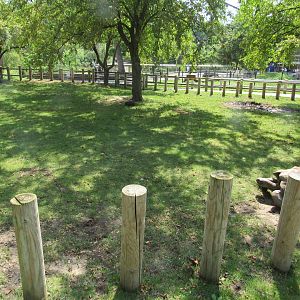 Americas - Galapagos Tortoise Exhibit