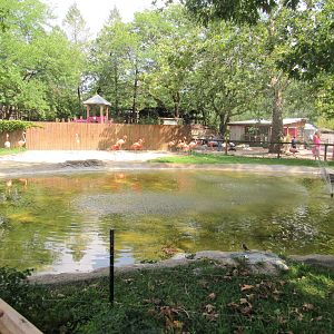American Flamingo Exhibit